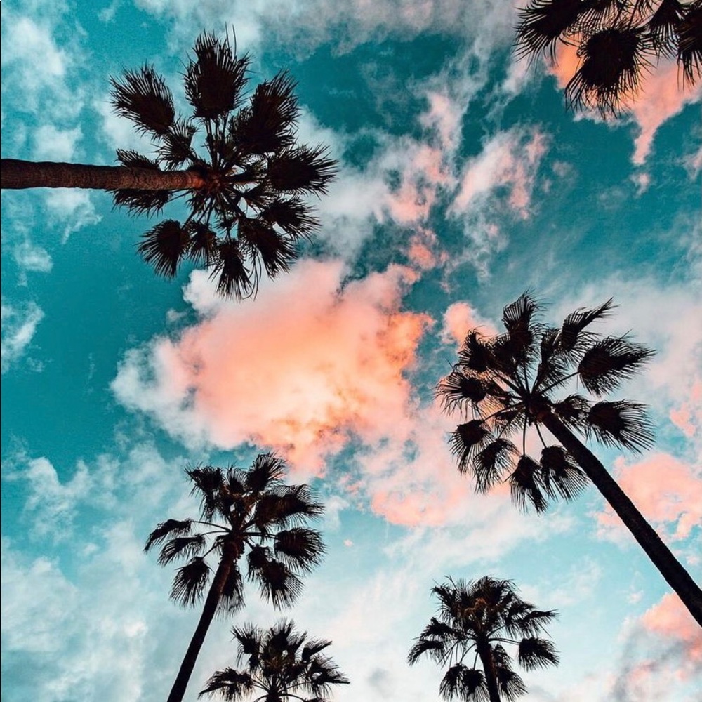 Meet your Posher, Ksenia